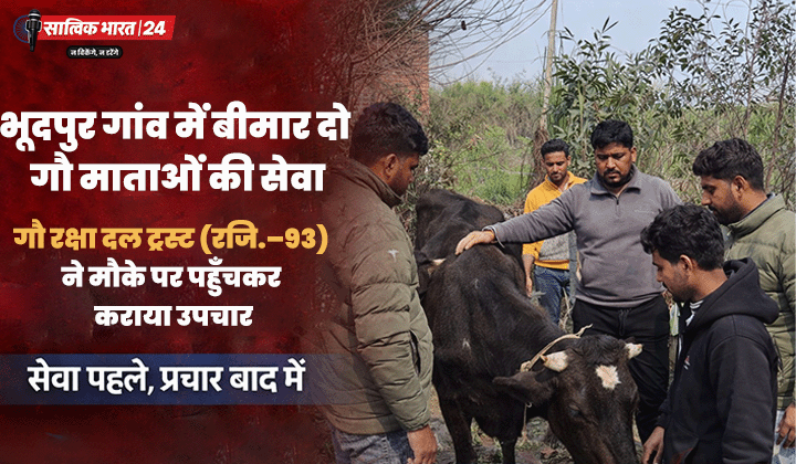 भूदपुर गांव मेरठ में बीमार दो गौ माताओं का इलाज गौ रक्षा दल ट्रस्ट (रजि-93) द्वारा समय पर किया गया।